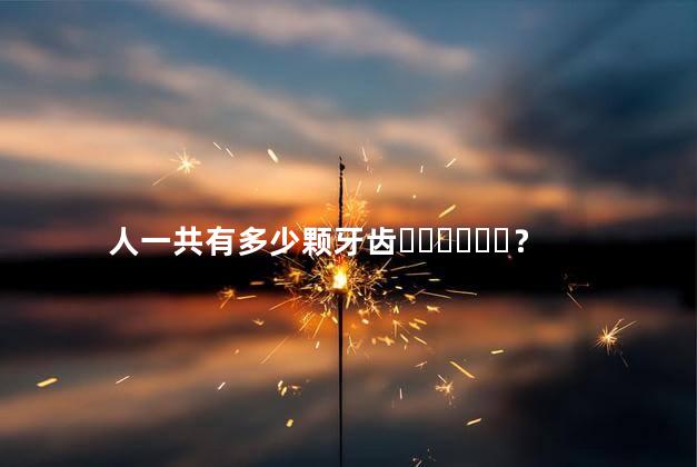 人一共有多少颗牙齿？